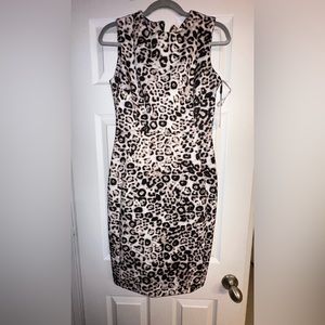 Calvin Klein animal, print  dress size 6